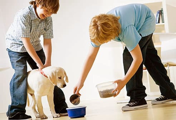 How Much Should I Feed My Dog?