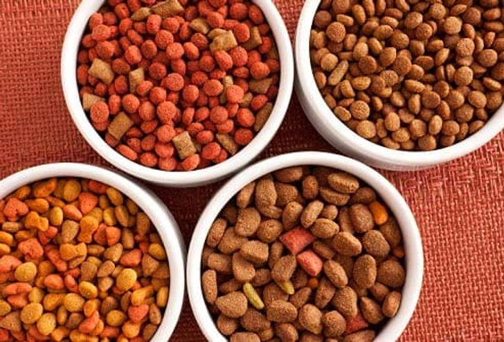 Can I Change My Dog's Food?