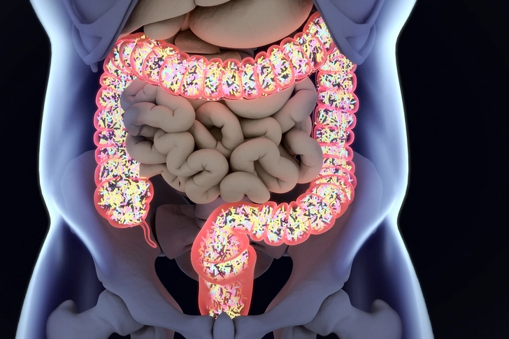 Your Gut Reaction Your Gut Reaction