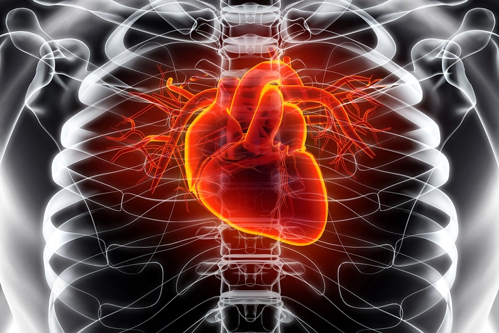 Warding Off Heart Disease Warding Off Heart Disease