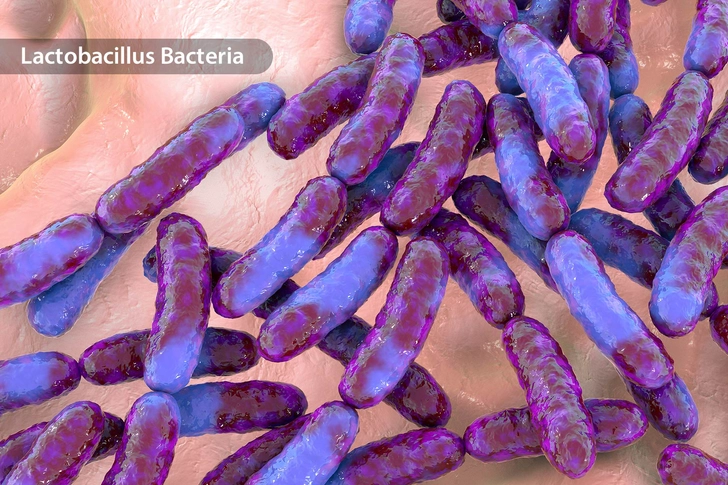 Big Boosts From Tiny Organisms