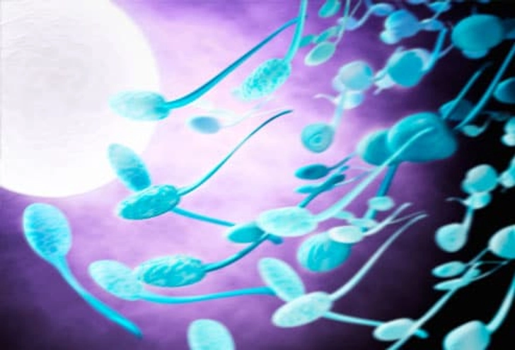 How Men Can Boost Fertility