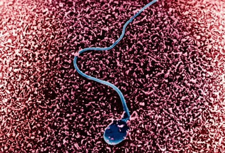 Fertility Declines in Older Men, Too