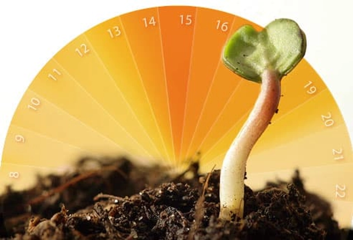 Track Your Most Fertile Days