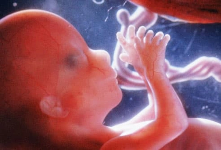 Development at 16 Weeks