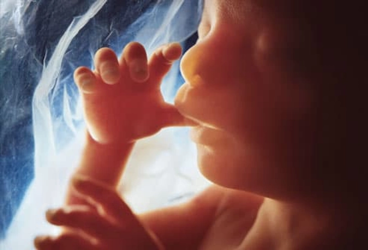 Development at 20 Weeks