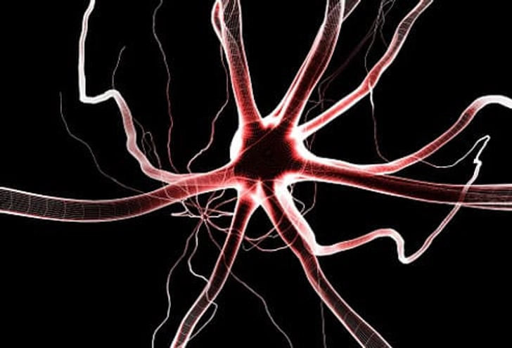 Causes Causes