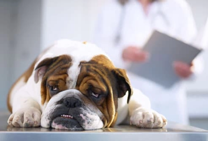 Signs of Tick-Borne Diseases