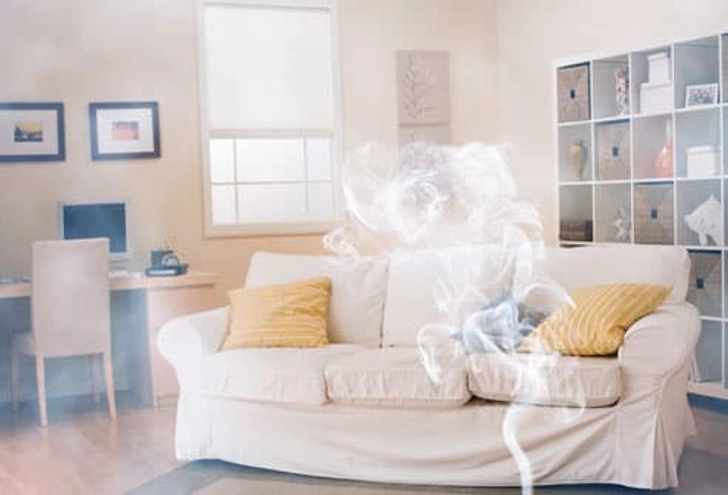 Should You Use a Fogger?
