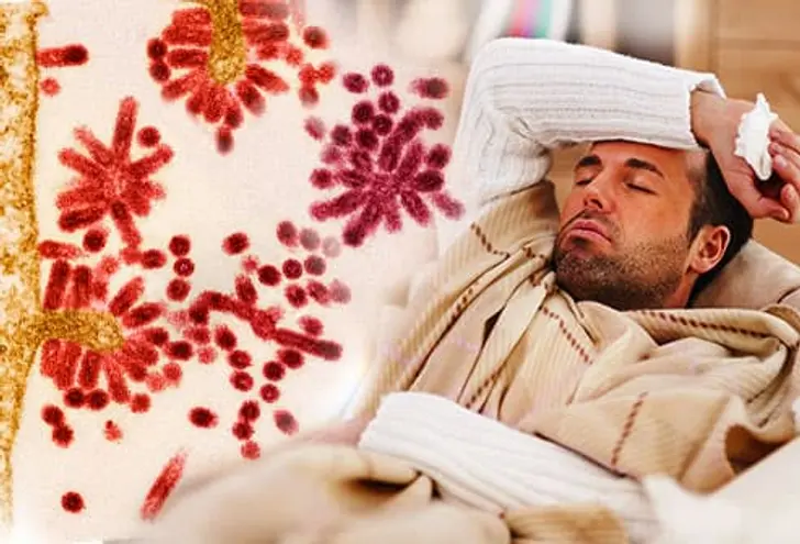 What's the Flu? What's the Flu?