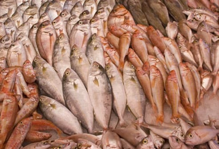 Fish