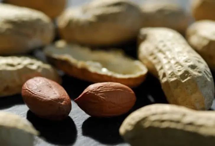 Peanuts Peanuts