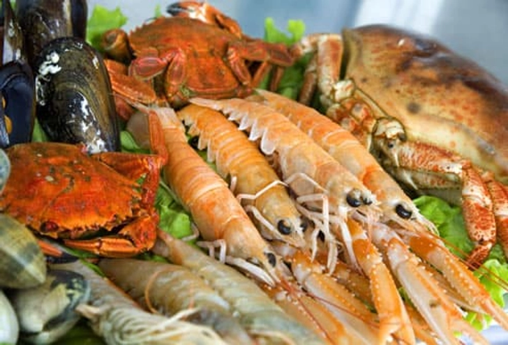 Shellfish