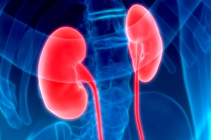Helps Your Kidneys