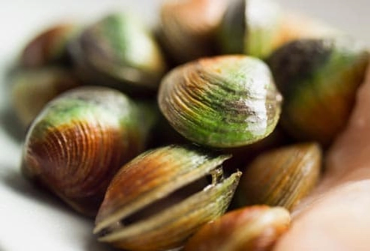 Paralytic Shellfish Poisoning