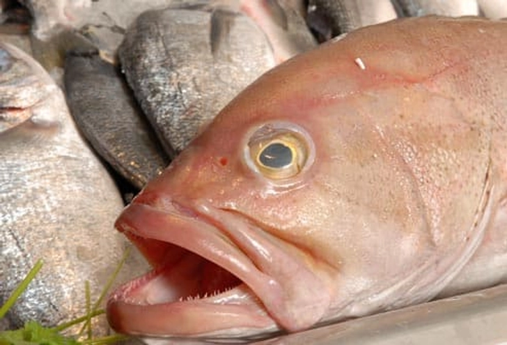 Ciguatera Poisoning: Fish Ciguatera Poisoning: Fish