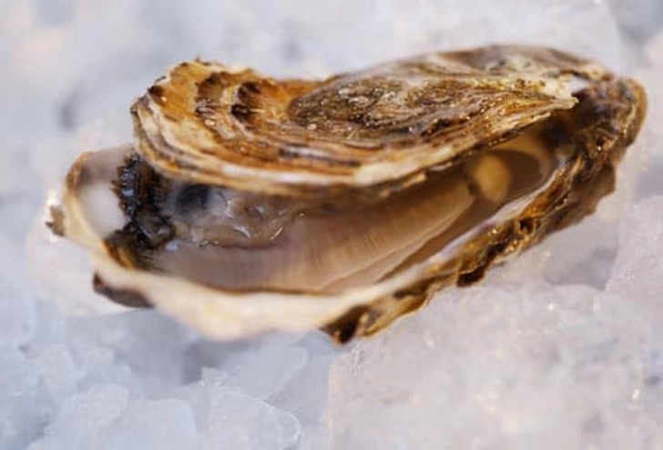 Vibrio Vulnificus: Raw Oysters Vibrio Vulnificus: Raw Oysters