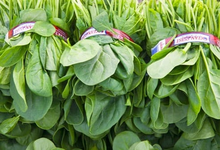 E. coli: Fresh Produce E. coli: Fresh Produce