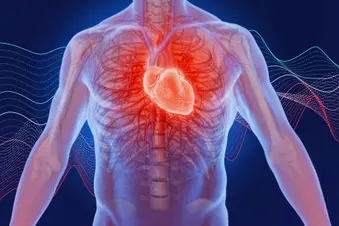 photo of heart illustration