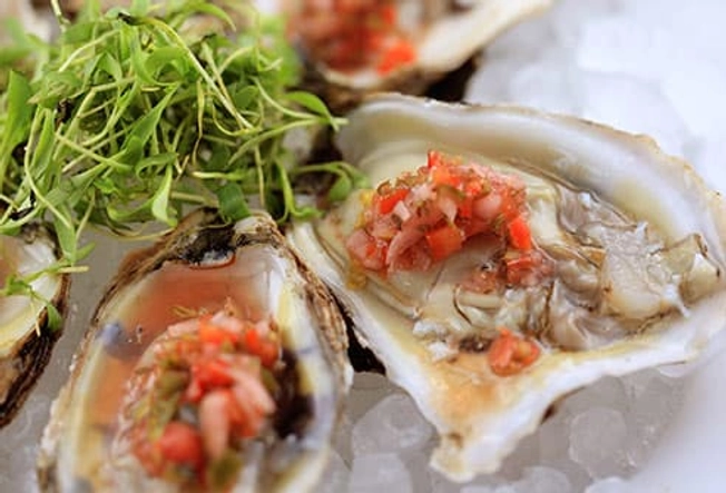 Oysters Oysters