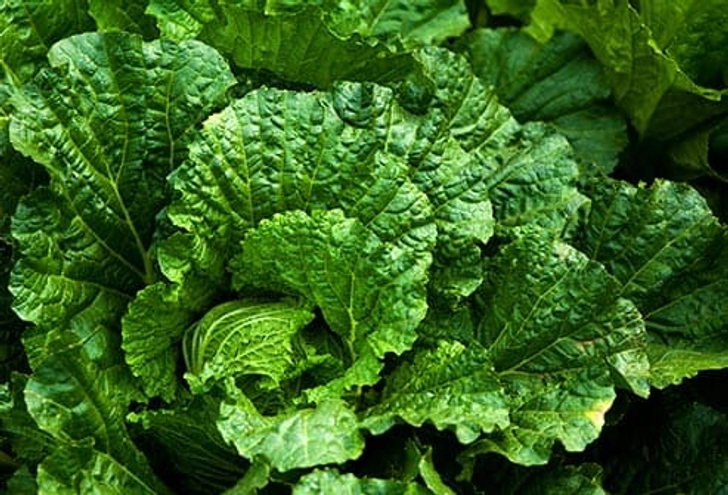 Leafy Greens
