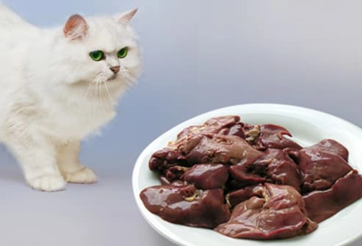Liver Liver