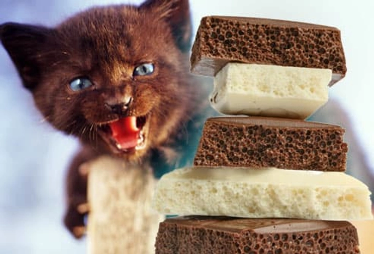 Chocolate