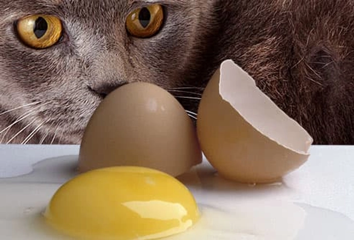 Raw Eggs