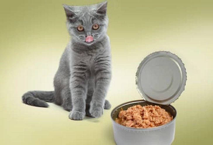 Tuna Tuna