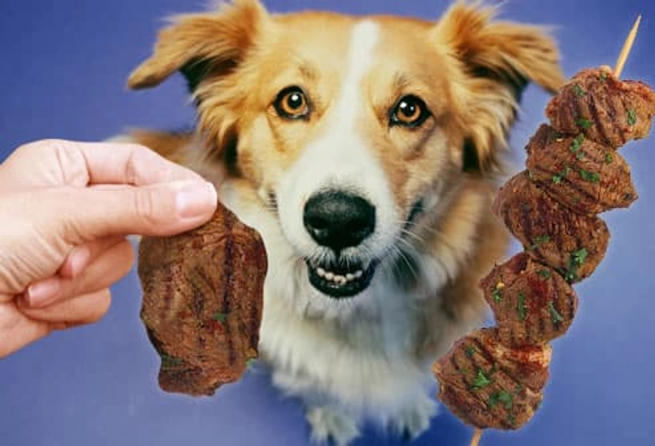 Safe: Lean Meats Safe: Lean Meats
