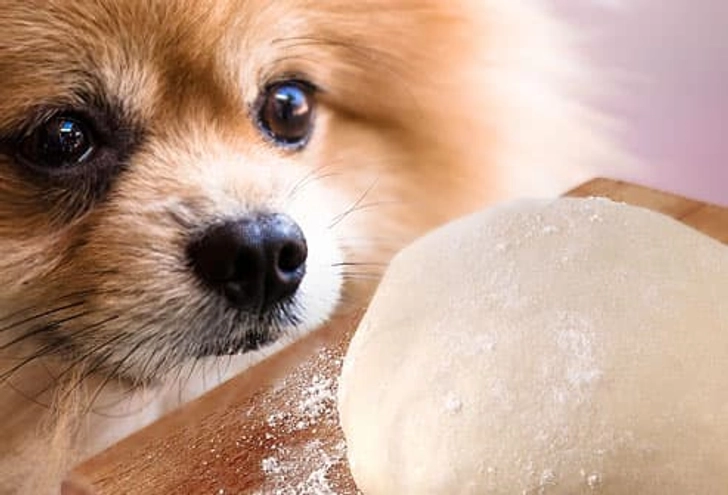 Yeast Dough Yeast Dough
