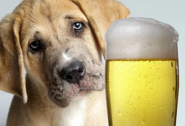 Alcohol