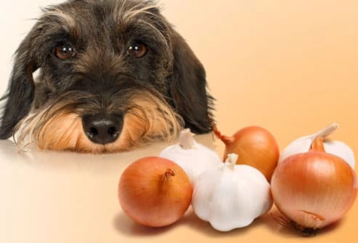 Onions and Garlic Onions and Garlic