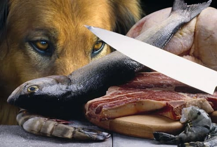 Raw Meat and Fish Raw Meat and Fish