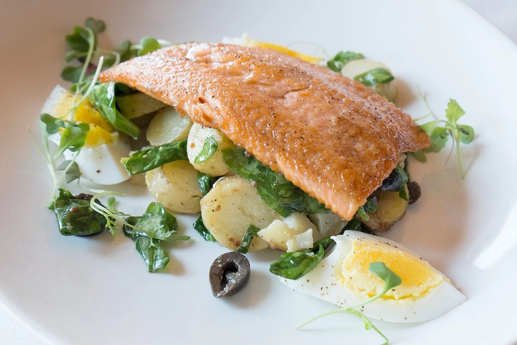 Rainbow Trout