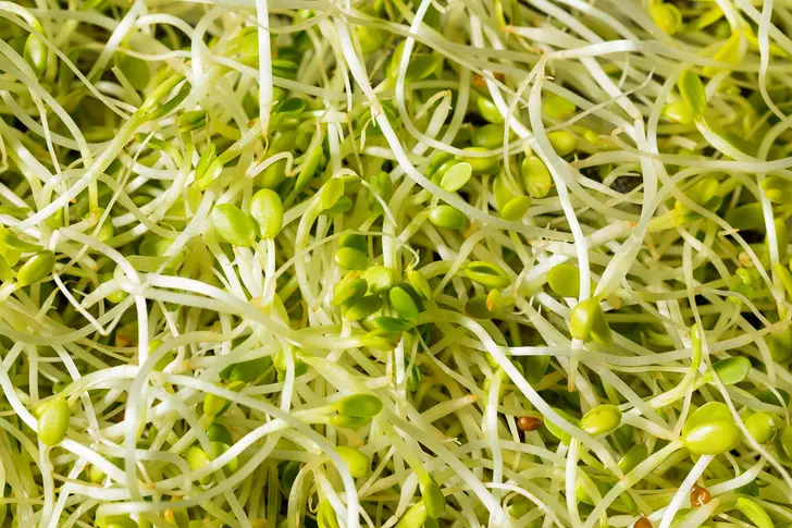 Sprouts