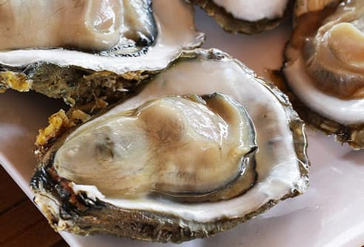 Oysters
