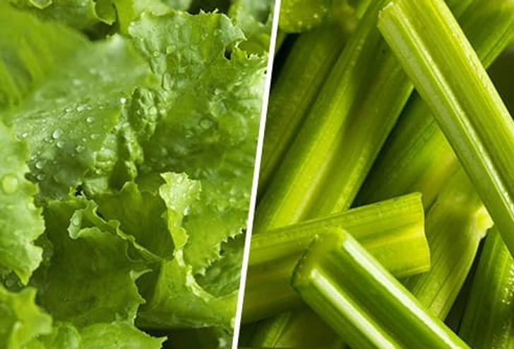 Lettuce and Celery Lettuce and Celery