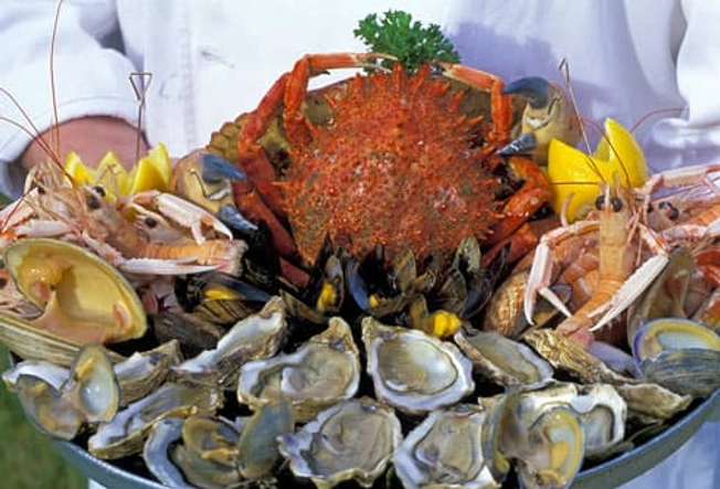 Shellfish Shellfish