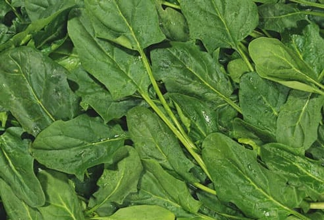 Leafy Green Vegetables Leafy Green Vegetables