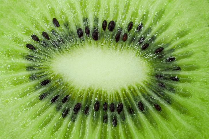 Kiwifruit