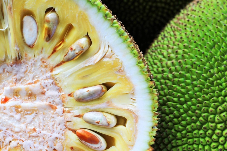 Jackfruit