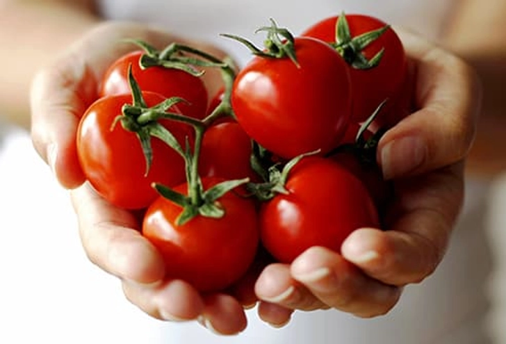Tomatoes Are Fruits and Veggies