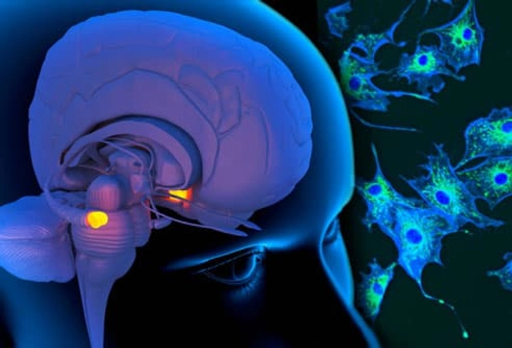 What Are the Causes?