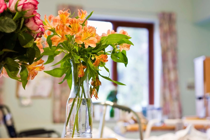 Flowers and Plants