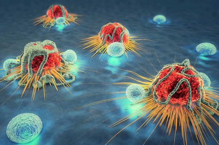 Curbs Cancer Growth