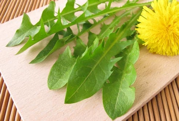 Dandelion Greens Dandelion Greens