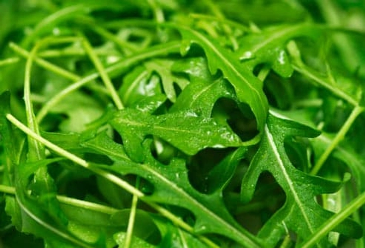 Arugula Salad Arugula Salad