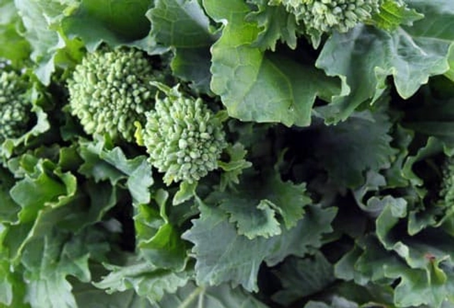 Charred Broccoli Rabe Charred Broccoli Rabe