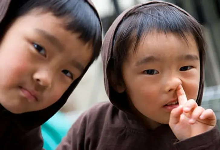 Pick Their Noses Pick Their Noses